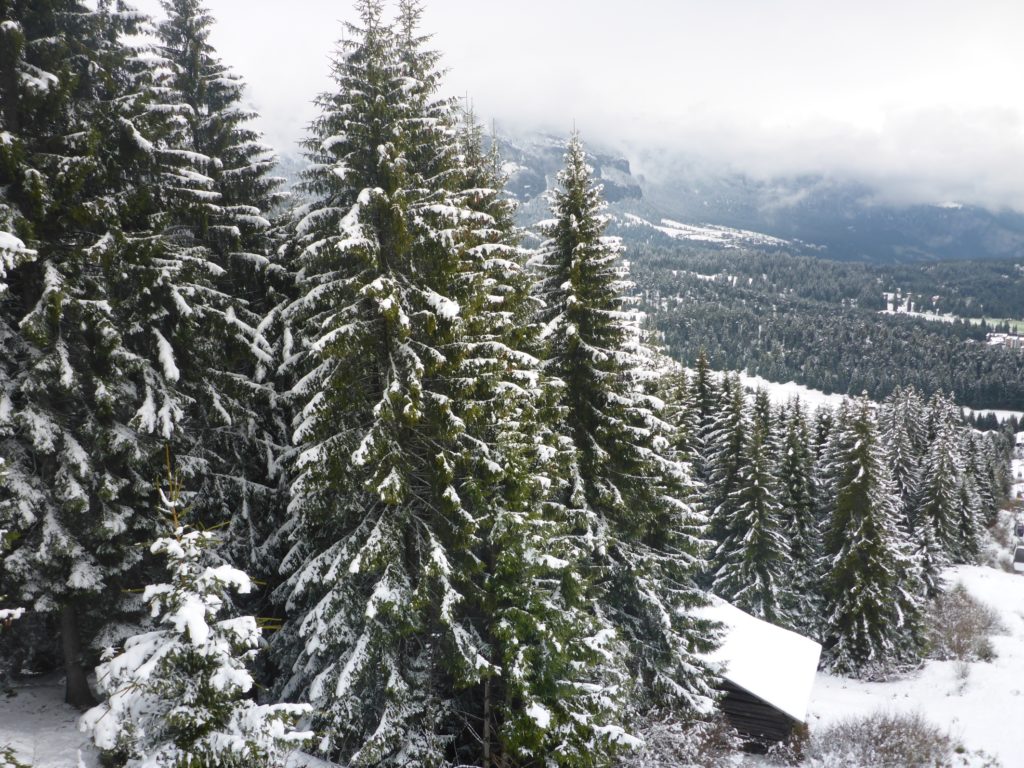 Aussicht Richtung Flims