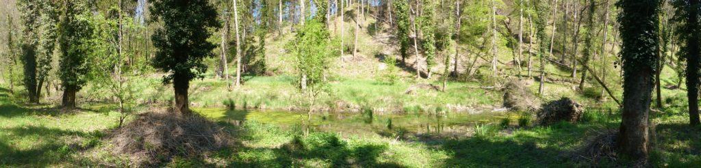 Aussicht Barägerten (Thurauen)