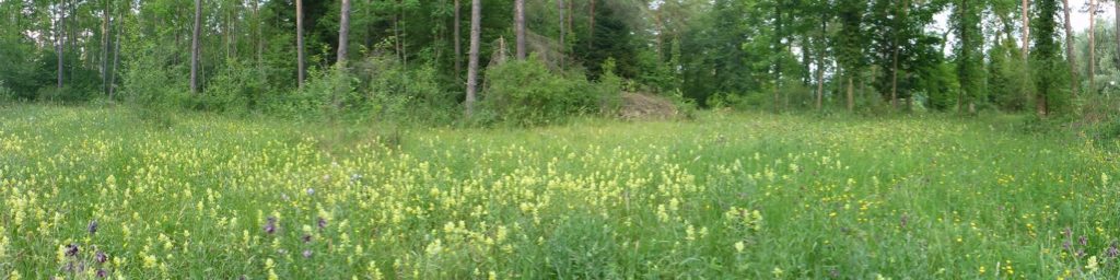 Panorama Nachiforen, Flaach
