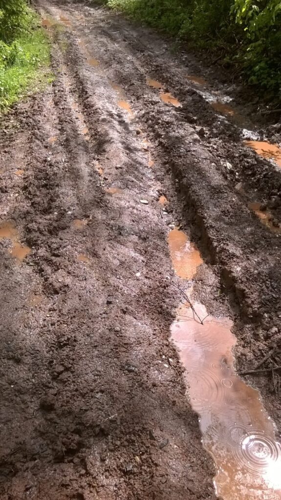 Strasse während einem Gewitter in Vorderweidenthal