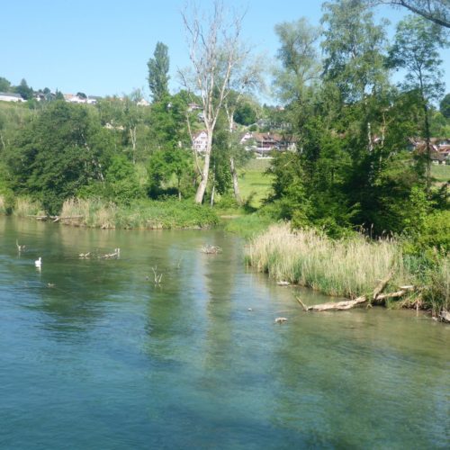 Rhein Rüdlingen