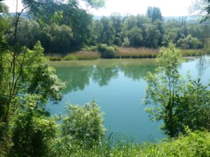 Rhein Untere Insel Rüdlingen