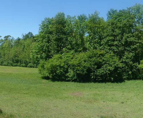Naturschutzgebiet