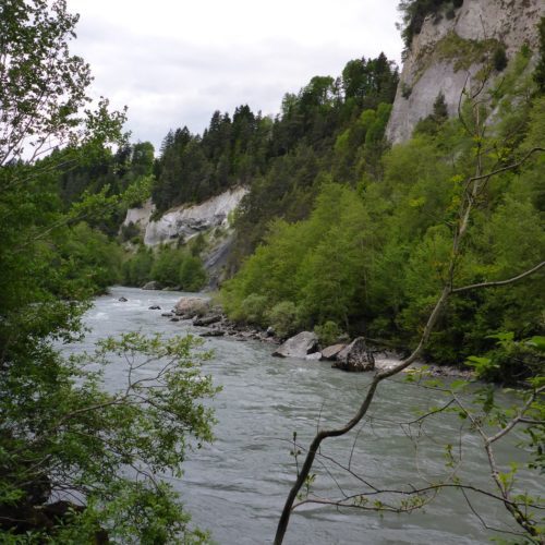 Vorderrhein bei Castrisch