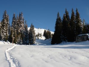 Weg Piste P60