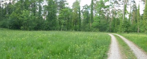 Panorama Auen