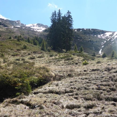 Blick Richtung Guraletschhorn