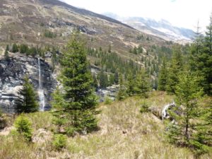 Wasserfall in den Valserrhein