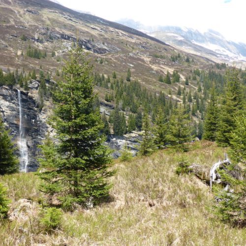 Wasserfall in den Valserrhein