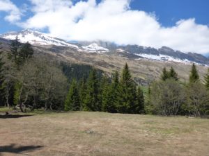 Panorama Schwarzhorn, Faltschonhorn, Piz Aul, Piz Serenasta