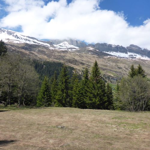 Panorama Schwarzhorn, Faltschonhorn, Piz Aul, Piz Serenasta