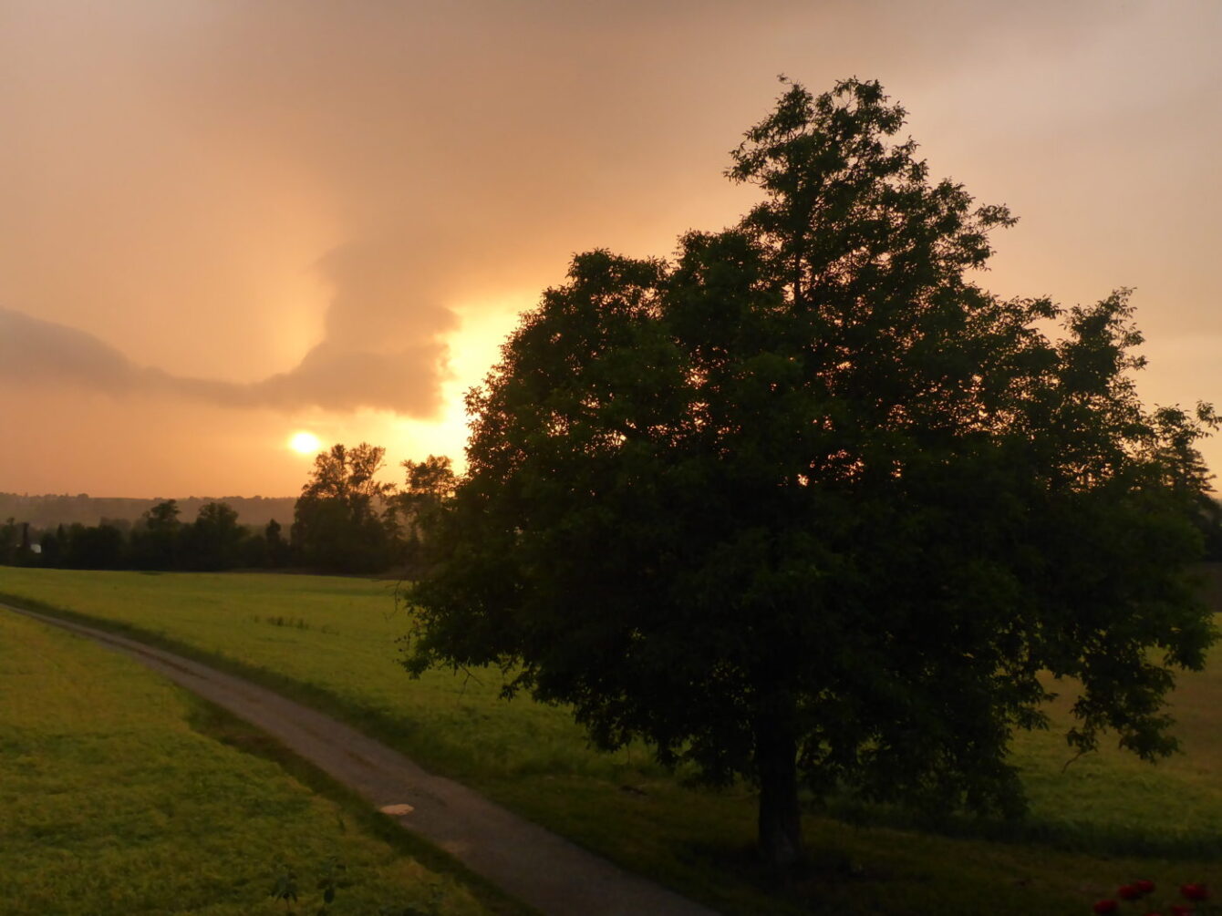 Nussbaum + Gewitter in Flaach