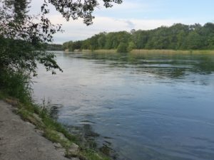 Rhein Blick Richtung Flaacherfeld