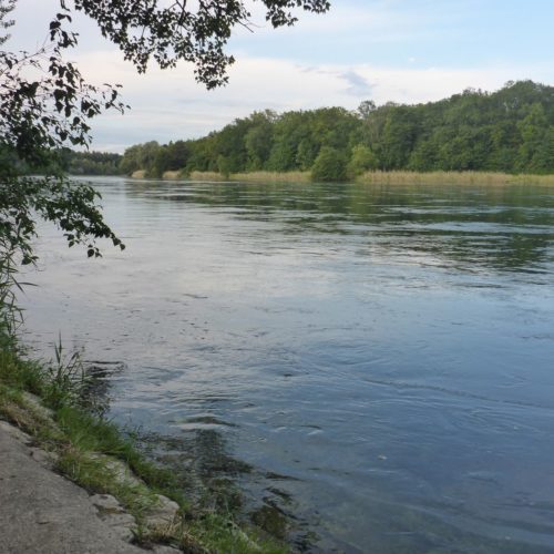 Rhein Blick Richtung Flaacherfeld