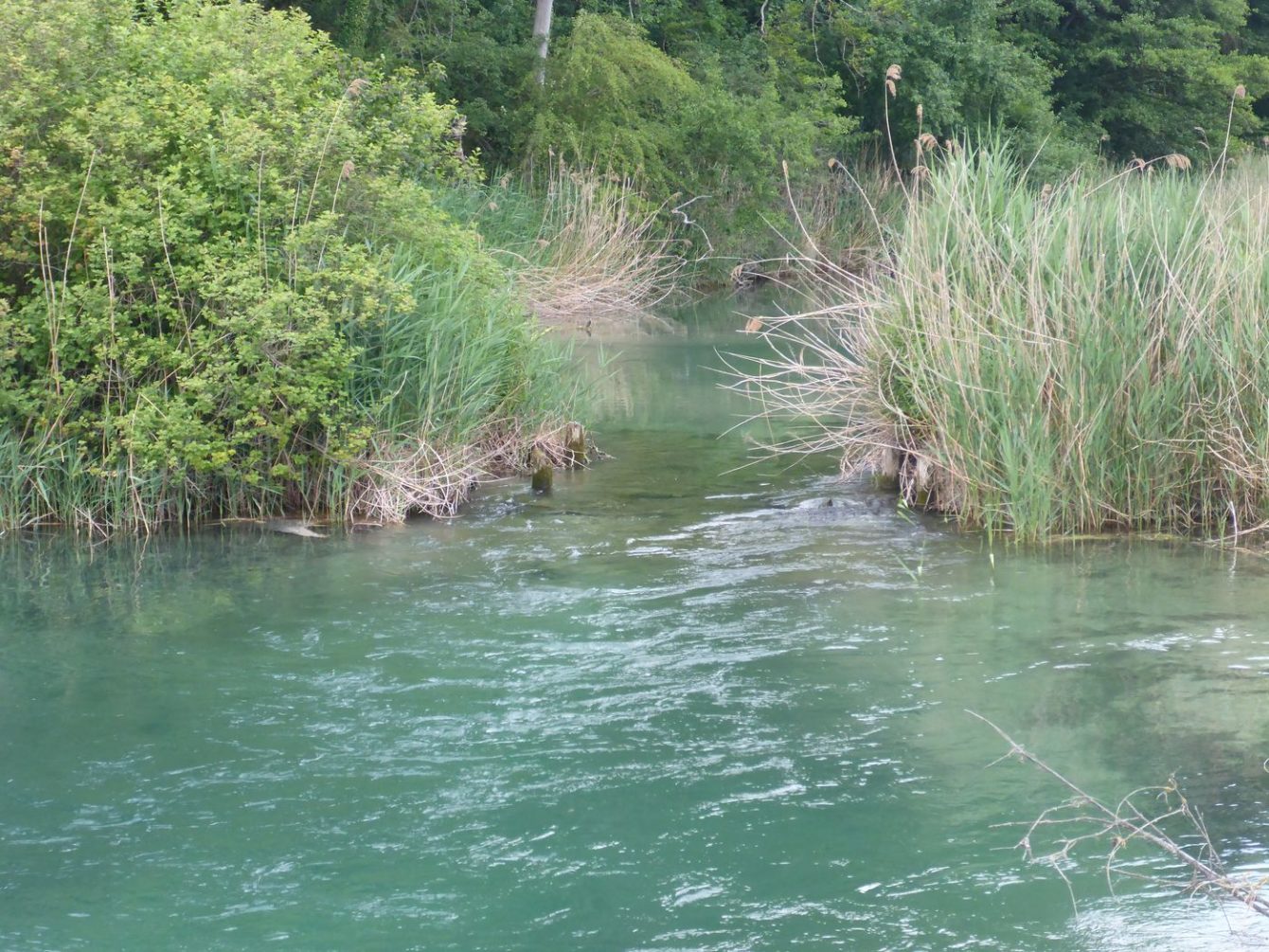 Durchfluss Alter Rhein