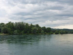 Panorama Rhein