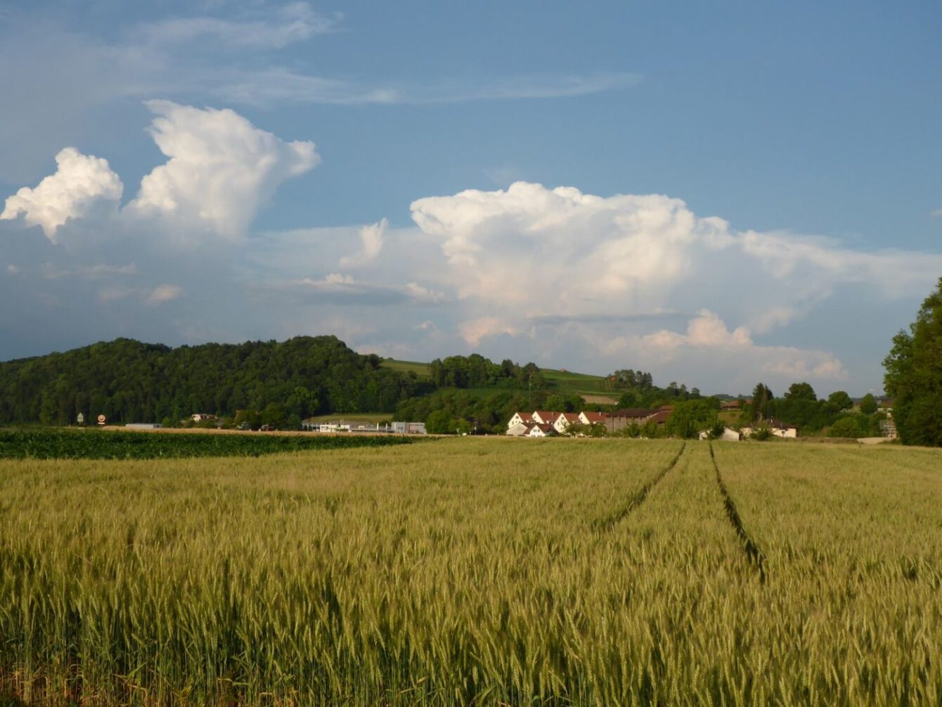 Flaachtal & Worrenberg