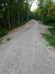 Überschwemmungsgebiet Thurauen: Renaturiert mit neuem tiefergelegtem Waldweg.