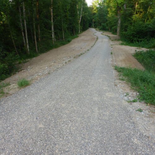 Überschwemmungsgebiet Thurauen: Renaturiert mit neuem tiefergelegtem Waldweg.