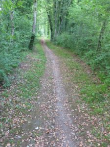 Wanderweg Richtung Alten südliche Thurseite