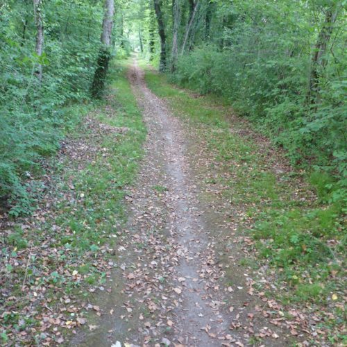 Wanderweg Richtung Alten südliche Thurseite