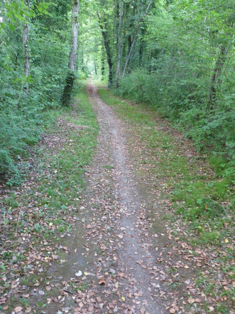 Bike/Wanderweg Richtung Alten südliche Thurseite