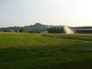 Flaacherfeld