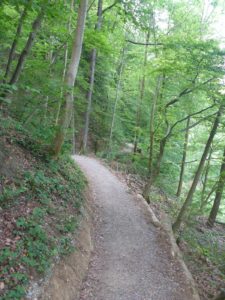 Gut ausgebauter Wanderweg