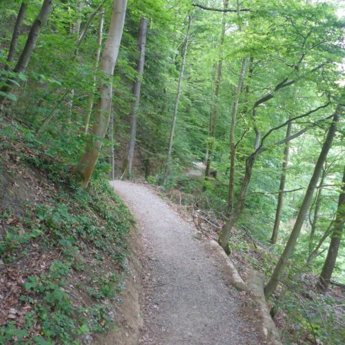 Gut ausgebauter Wanderweg