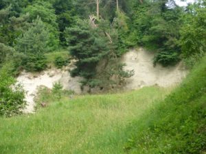 Naturschutzgebiet Sandgrube Teufen