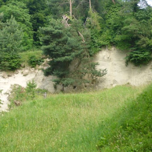 Naturschutzgebiet Sandgrube Teufen