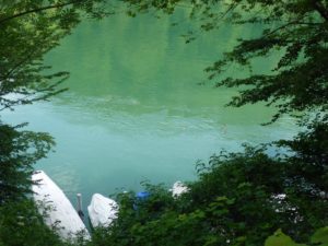 Rhein mit Stockenten