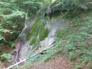 Wasserfall am WWF-Biberweg
