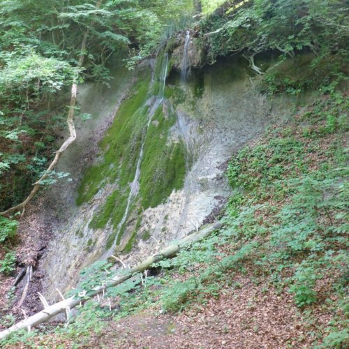 Wasserfall am WWF-Biberweg