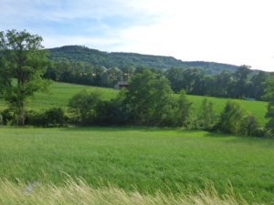 Ausblick auf das Zwischenziel Hochwacht Irchel