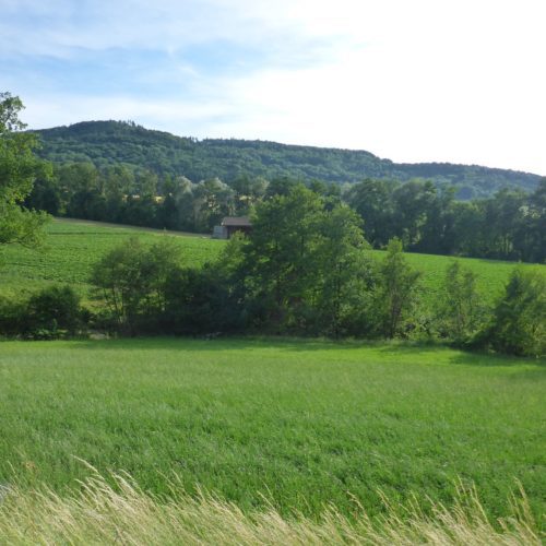 Ausblick auf das Zwischenziel Hochwacht Irchel