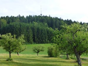 Herrenbänkli Irchelturm