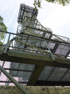 Irchelturm Herrenbänkli