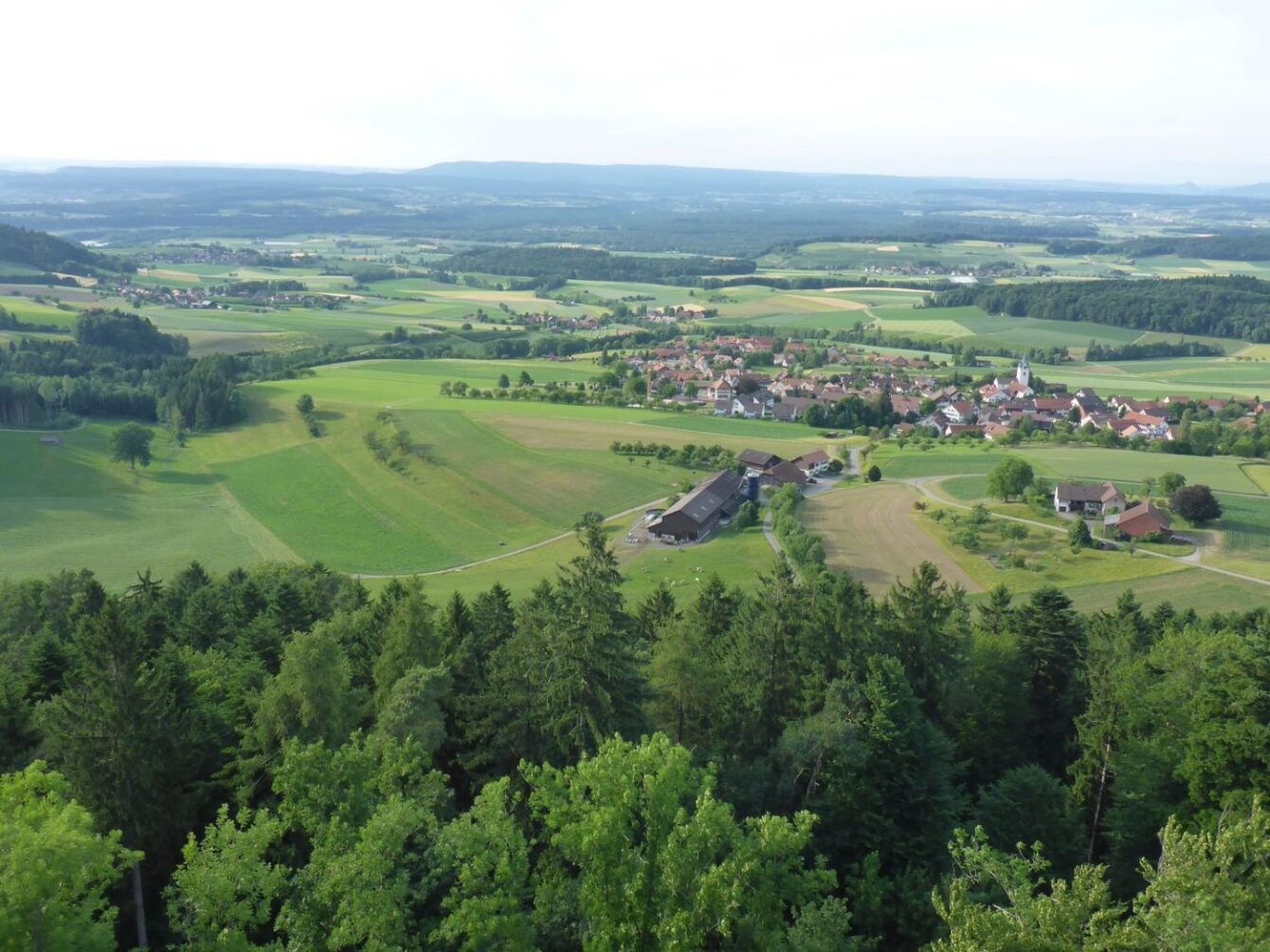 Ausblick Richtung Buch am Irchel und Weinland