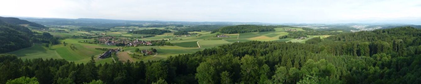 Panorama Weinland