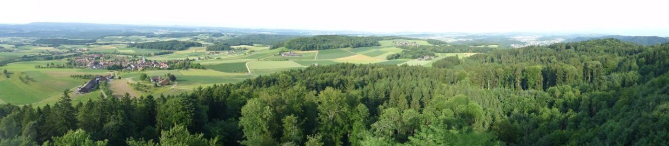 Panorama Weinland
