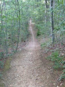 Wanderweg Richtung Hochwacht