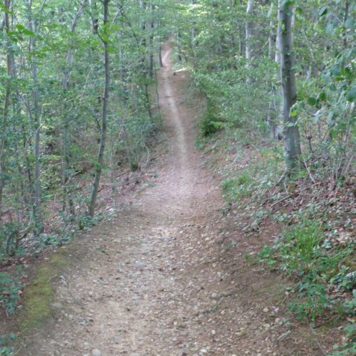 Wanderweg Richtung Hochwacht