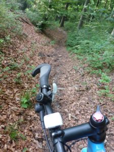 Singletrail