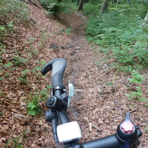 Singletrail