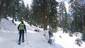 Toby am Schneeschuhspuren legen