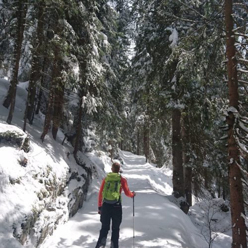 Wanderweg ins Bargistal