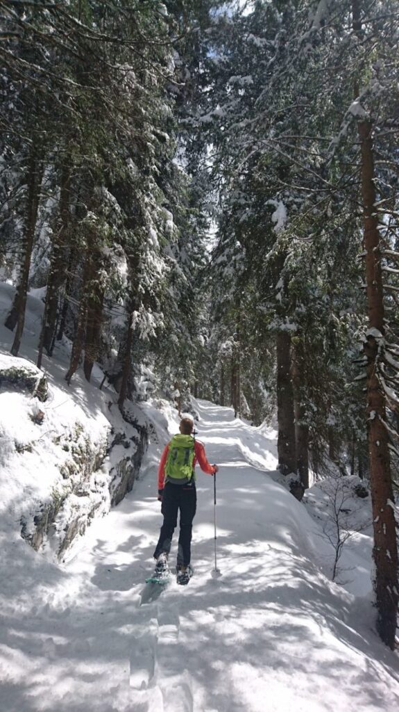 Wanderweg ins Bargistal