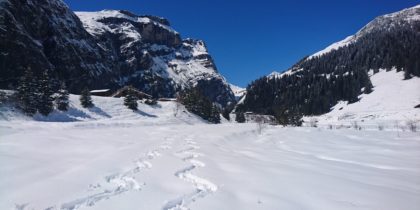 Synchron-Schneeschuhlaufen