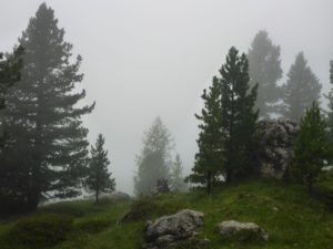 Nebel Col Raiser